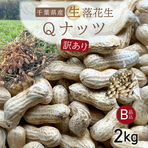 yӂ邳Ɣ[Łz ystE9{菇Izy󂠂zQibc Ԑ 2kg ^ӂ邳Ɣ[ Ԑ  Ԑ Qibc QȂ Vi  󂠂 A ƒp p { G