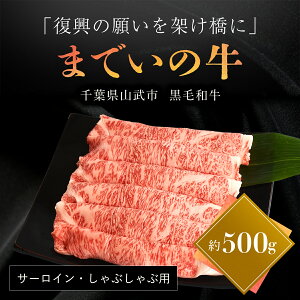 yӂ邳Ɣ[Łzy500gET[CEԂԗpzRu܂ł̋vT[C Ԃ   јa a Y t Rs SMAJ012