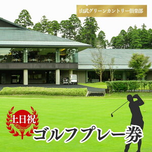 yӂ邳Ɣ[ŁzyRO[Jg[yzStv[iyEjpj ^ St p Stv[ v[`Pbg Golf `Pbg Stv[ v[ t R