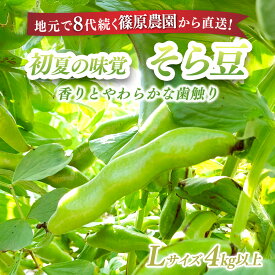 【ふるさと納税】【先行予約】【5月中旬～下旬発送】地元で8代続く農家から直送! 香りとやわらかな歯触りがおいしい初夏の味覚! 篠原農園のそら豆 Lサイズ 4kg以上 / 採りたて そら豆 ソラマメ 天ぷら 農家直送 千葉県 千葉県 山武市 SMBV002
