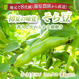 yӂ邳Ɣ[Łzys\zy5{`{zn8㑱_Ƃ璼! Ƃ炩ȎG肪Ă̖o! _̂瓤 S,MTCY~bNX 4kgȏ^̂肽 