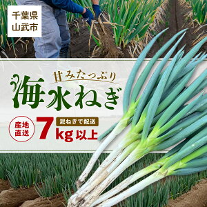 �y�ӂ邳�Ɣ[�Łz�y�R���s����͔|�z�D�l�M�Ńh�h���Ɣz���I�~�l�����L�x�ŊÂ݂����Ղ�́u�C���l�M�v7kg�ȏ� / �n���̓��̉w�I���C�͂��ʂ܂ő�l�C�̔_�Ƃ��璼��! �y�������Ԃ�12���`