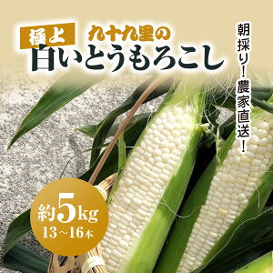 yӂ邳Ɣ[Łzys\zy6{蔭ẑ!_ƒ! \㗢̋ɏ㔒Ƃ낱 5kg(13~16{) /Ƃ낱 gERV R[ Ƃ낱 ÂzC