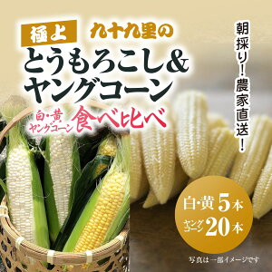 yӂ邳Ɣ[Łzys\zy6{蔭ẑ!_ƒ! \㗢̋ɏƂ낱2+OR[Hה / Ƃ낱 gERV R[ S[hbV 
