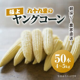 【先行予約】【6月上旬より発送】朝採り!農家直送! 九十九...