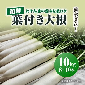 【ふるさと納税】【先行予約】【2月上旬より発送】農家直送! 九十九里の恵みを受けた新鮮葉付き大根 約10kg / 大根 だいこん 葉付き大根 葉付きだいこん 新鮮 九十九里浜 おひたし 味噌汁 みそ汁 千葉県 千葉県山武市 SMBU005