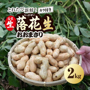 yӂ邳Ɣ[Łzs\񁚁y2025N9{菇zƂꂽĐVN! Ԑ ܂ 2kg kt^  Ԑ  @  VN  ܂  