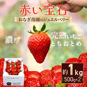 yӂ邳Ɣ[Łzys\zy1{甭zԂ Ȃ䕉̃WGx[ n ƂƂ 1kgi500g×2j SMCO002 i܂ށjւ̔z͕s