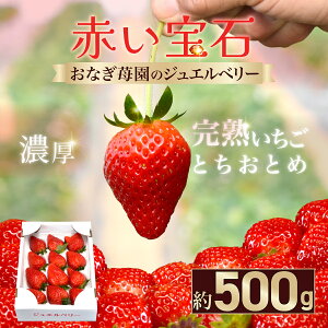 yӂ邳Ɣ[Łzys\zy1{甭zԂ Ȃ䕉̃WGx[ n ƂƂ 500g SMCO001 i܂ށjւ̔z͕s