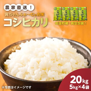 yӂ邳Ɣ[Łzys\2026N10{甭JnzRVqJ@20kgi5kg×4܁jߘa8NY @y ӂ邳Ɣ[ lC  LO     Ђ RVqJ t