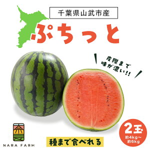 �y�ӂ邳�Ɣ[�Łz �Ղ�����2�ʓ���y �ӂ邳�Ɣ[�� �l�C �������� �����L���O �Ղ�����2�ʓ��� �X�C�J ���Z ������ �ʕ� �t���[�c ���Y �Y�n���� �Â� ��� ��t�� �R���s �������� �z SMAF006