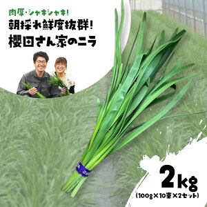 yӂ邳Ɣ[Łzys\zy12甭zEVLVL! ̂NxQ! NcƂ̃j 2kg(100g×10×2Zbg) ӂ邳Ɣ[ ɂ j ̂ VN  VLVL _ƒ