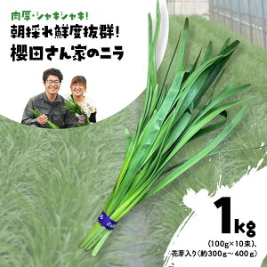 【ふるさと納税】【先行予約】【2026年7月から発送】肉厚・シャキシャキ! 朝採れ鮮度抜群! 櫻田さん家のニラ 2kg(100g×10束×2セット) ふるさと納税 にら ニラ 朝採れ 新鮮 肉厚 シャキシャキ 農