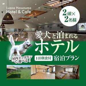 yӂ邳Ɣ[ŁzƔ܂ze Luana Hasunuma HOTEL&CAFE 1Hthvi2E2lj^ze h JtF ƈꏏɔ܂ ybgƔ܂h hbO   ^ 