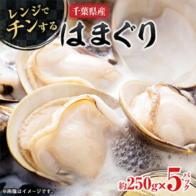 【ふるさと納税】”チン”するはまぐり 約250g×5パック_ 美味しい 人気 貝 はまぐり 蛤 簡単 冷凍 【配送不可地域：離島】【1073884】