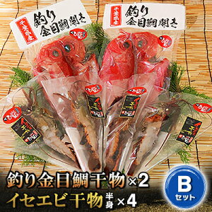 yӂ邳Ɣ[Łzނڑ⊱ECZGrBZbg@C̒At@yzsnFzy1105337z