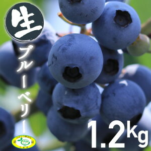 yӂ邳Ɣ[Łz݂̃u[x[yzsnFzy1388556z