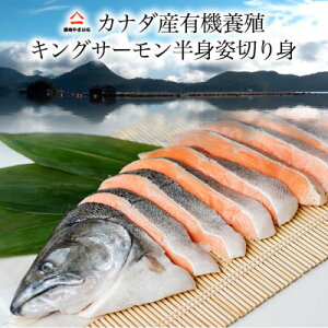 【ふるさと納税】カナダ産キングサーモン半身姿切身 甘塩 1.6kg【配送不可地域:離島】【1461697】