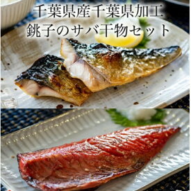 【ふるさと納税】さばの干物8枚セット(文化干し4枚+味醂干し4枚)【配送不可地域：離島】【1461698】