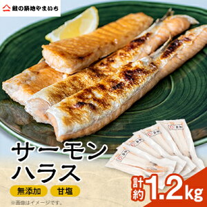 yӂ邳Ɣ[ŁzY ÉT[nX 1.2kg[300g×4pbN]yzsnFzy1514247z