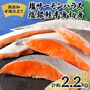 yӂ邳Ɣ[ŁzYÉdċlߍZbg T[nX1.2kg+gؐg1kg v2.2kgyzsnFzy1515256z