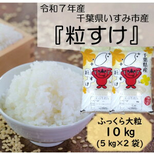 yӂ邳Ɣ[Łzyߘa7NYāz@ӂ嗱@tݎsY@10kg(5kg×2)y1546627z