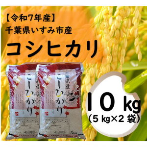 yӂ邳Ɣ[Łzyߘa7NYāz@tݎsY@RVqJ10kg(5kg×2)y1546629z