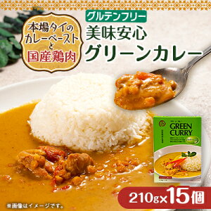 【ふるさと納税】美味安心グリーンカレーレトルト 15箱【1555430】