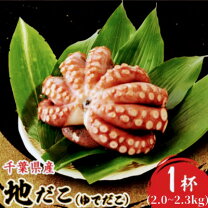 楽天市場】ふるさと納税（産地（都道府県）千葉）（タコ｜魚介類・水産 