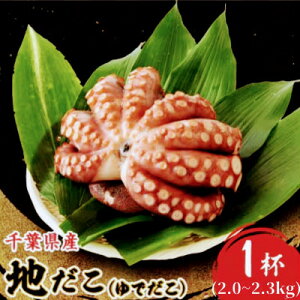yӂ邳Ɣ[Łzn 1t(2.0`2.3kg)yzsnFzy1580439z