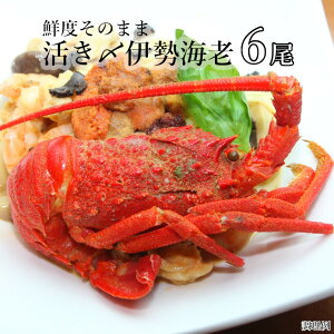 ふるさと納税 伊勢海老の人気商品 通販 価格比較 価格 Com