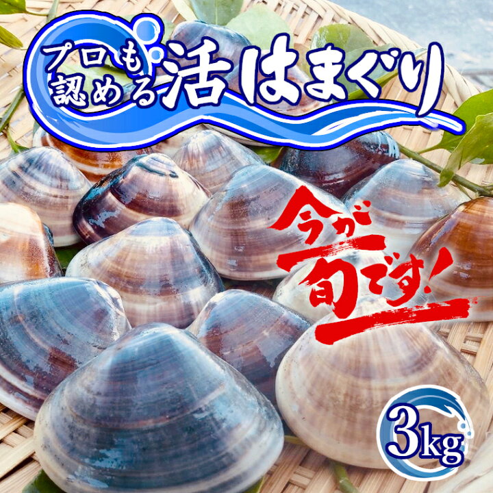 楽天市場 ふるさと納税 訳あり はまぐり ハマグリ 蛤 増量 国産 天然 送料無料 3kg 千葉県産 九十九里産 10月 7月発送 期間限定 コロナ支援 q おせち お雑煮 お吸い物 にも 貝 わけあり 2 3 2発送不可 千葉県いすみ市