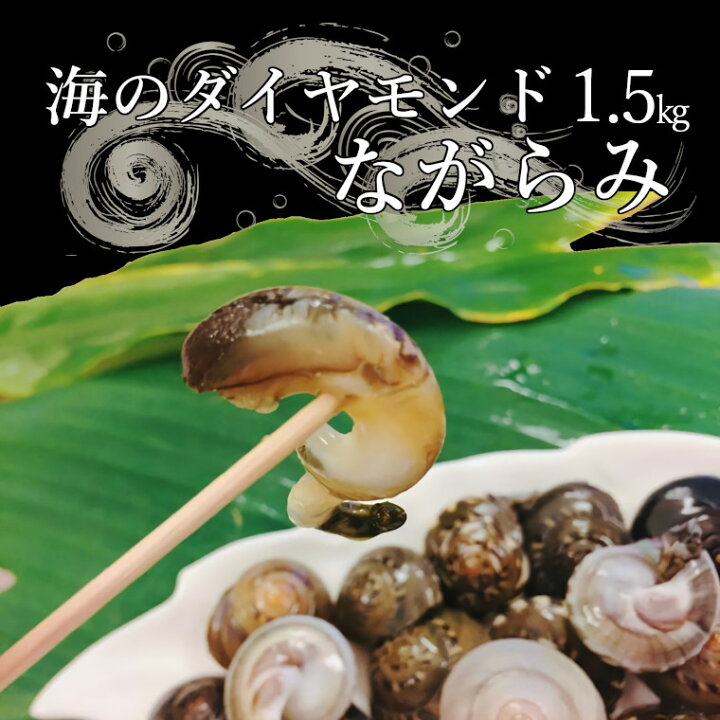 楽天市場 ふるさと納税 ながらみ 貝 最高級 1kg超 1 5kg 千葉県いすみ市