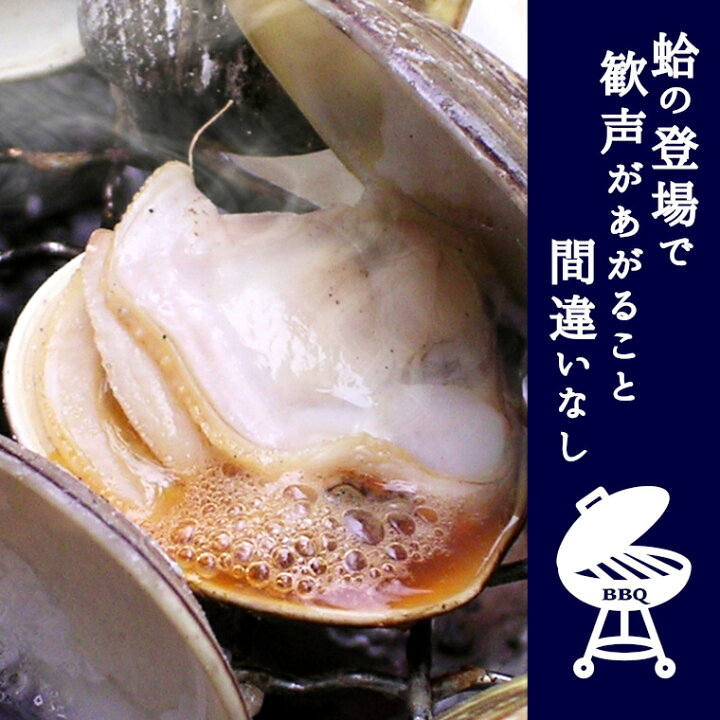 楽天市場 ふるさと納税 訳あり はまぐり ハマグリ 蛤 増量 国産 天然 送料無料 1 5kg 1kg超 千葉県産 九十九里産 10月 7月発送 期間限定 コロナ支援 q おせち お雑煮 お吸い物 にも 貝 わけあり 2 3 2発送不可 千葉県いすみ市