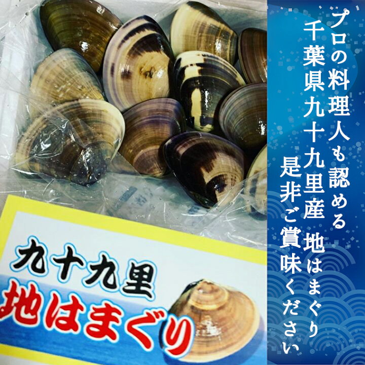 楽天市場 ふるさと納税 訳あり はまぐり ハマグリ 蛤 増量 国産 天然 送料無料 1 5kg 1kg超 千葉県産 九十九里産 10月 7月発送 期間限定 コロナ支援 q おせち お雑煮 お吸い物 にも 貝 わけあり 2 3 2発送不可 千葉県いすみ市