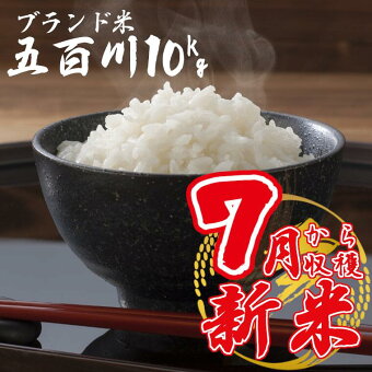 楽天市場 ふるさと納税 千葉県いすみ市 千葉県いすみ市 トップページ