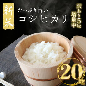 楽天市場 ふるさと納税 米 kgの通販