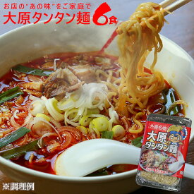 【ふるさと納税】大原タンタン麺【配送不可地域：離島】【1234874】