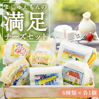 よじゅえもんの満足チーズセット _ チーズ カチョカバロチーズ ストリングチーズ モッツァレラチーズ カッテージチーズ 人気 お取り寄せ 詰め合わせ 【配送不可地域：離島】【1398385】