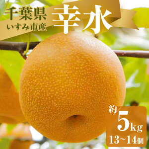 yӂ邳Ɣ[Łzy2026Ns\zݎsYK@5kg(13`14)y1462339z