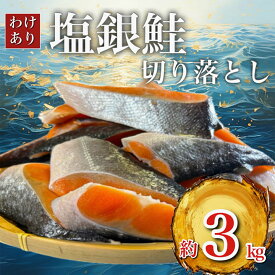 【ふるさと納税】【 訳あり 】 チリ産 定塩 塩銀鮭 切り落とし 端材 (約3kg) 鮭 さけ サケ シャケ 魚 お弁当 おかず 冷凍 人気 海鮮 【配送不可地域：離島】【1389616】