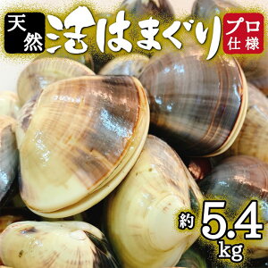 yӂ邳Ɣ[ŁzvF߂ ͂܂ Y VR 5.4kg t \㗢Y _  n}O L  CN L o`  vdl lC  yzsnFEꌧzy1226356