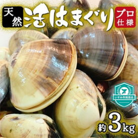 【ふるさと納税】 天然 はまぐり 約3kg ( 千葉県産 ) _ 蛤 ハマグリ 魚貝 魚介 海鮮 貝 出汁 だし プロ仕様 人気 送料無料 【配送不可地域：離島・沖縄県】【1306039】