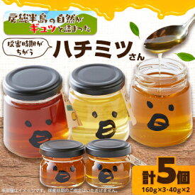 【ふるさと納税】いすみ市の『ハチミツさん』160g×3個、40gx2個セット【1391524】