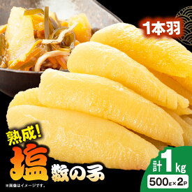 【ふるさと納税】塩数の子 1kg(500g×2P)_ 美味しい 人気 海鮮 数の子 グルメ 【配送不可地域：離島】【1607609】