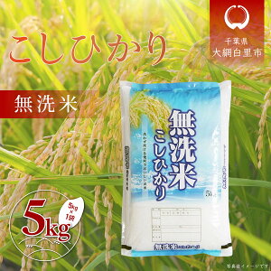 yӂ邳Ɣ[Łzߘa6NY tYuRVqJv 5kgi5kg×1܁j ӂ邳Ɣ[   RVqJ Ђ t Ԕs A056