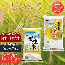 【ふるさと納税】【最短2～7営業日出荷】令和7年産 千葉県産「コシヒカリ」選べる精米方法・容量・回数（ 白米 無洗米 / 5kg 10kg / 1回 2回 3回 4回 5回 6回 7回 12回 ）お米 千葉県産 大網白里市 米 精米 こめ 白米 ご飯 千葉県産米