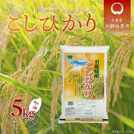 【ふるさと納税】令和6年産 千葉県産「コシヒカリ」5kg（5kg×1袋） お米 5kg 千葉県産 大網白里市 コシヒカリ 米 精米 こめ 送料無料 A054