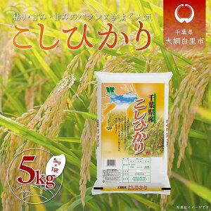 yӂ邳Ɣ[Łzߘa6NY tYuRVqJv5kgi5kg×1܁j  5kg tY Ԕs RVqJ     A054