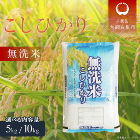 【ふるさと納税】【新米】令和7年産 千葉県産「無洗米コシヒカリ」選べる 5kg/10kg（5kg×1袋/2袋）ふるさと納税 米 無洗米 コシヒカリ こしひかり 千葉県 大網白里市